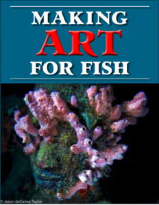 Making Art For Fish