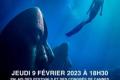 Under Si - Cannes Écomusée sous-marin Documentary 2023